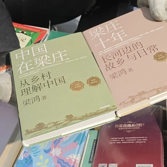 中国在梁庄➕梁庄十年两本一套精装