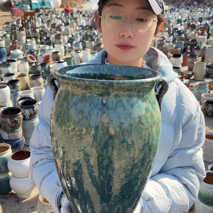 口20高28一个大花盆