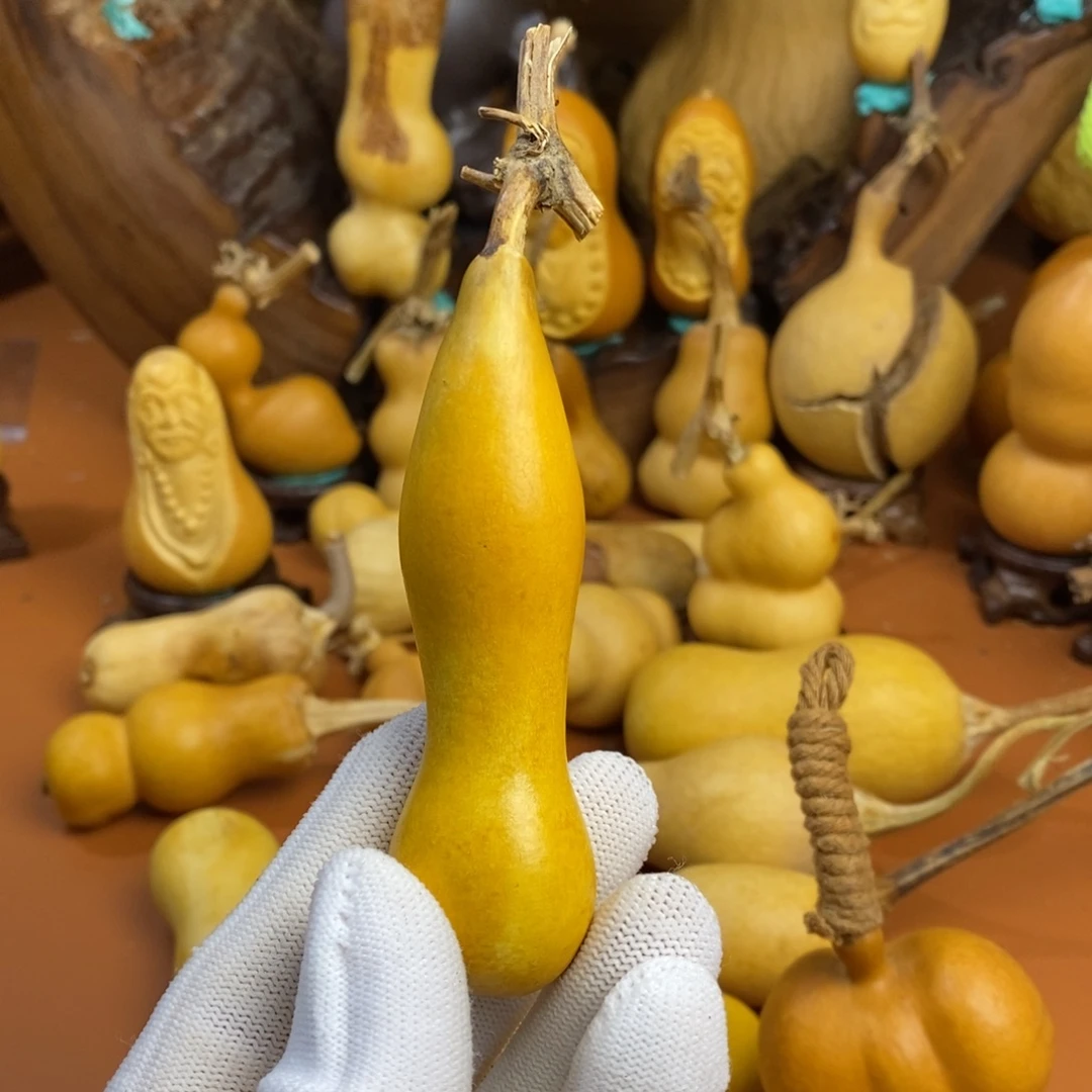 优***r教练咯哭了哭了教练咯