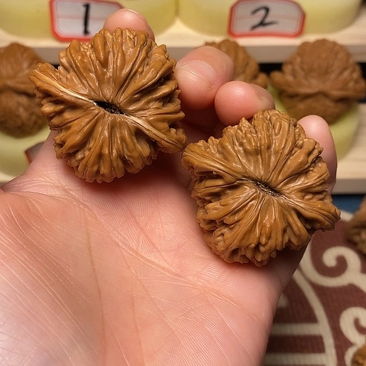 吊坠文玩核桃43菊花底楼