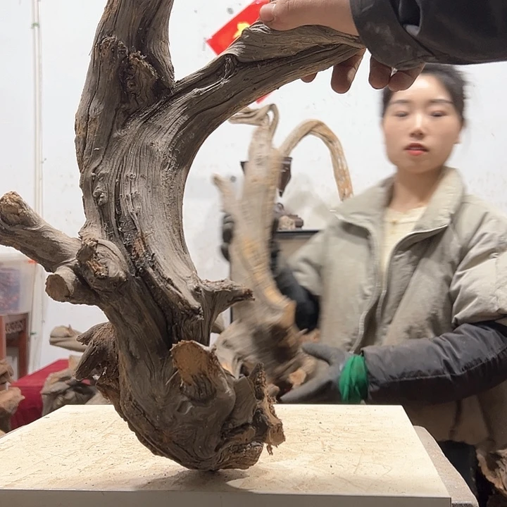 柏木J****邦我们都是好孩子