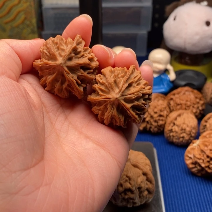 。***核桃35尺七山三棱