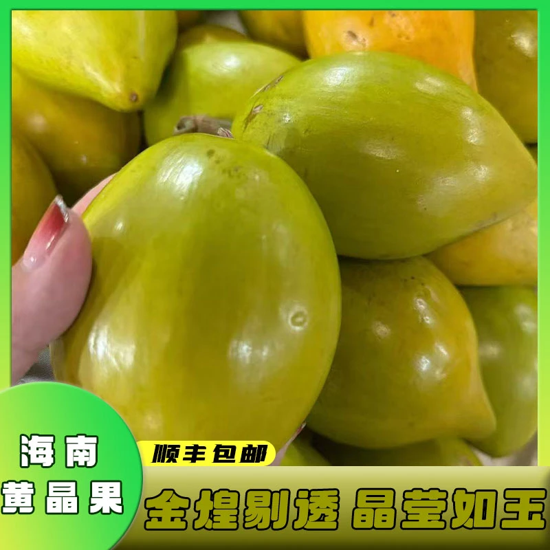 【顺丰速发】海南直发冬蜜黄晶果新鲜牛奶黄金果大果蛋黄果罕见稀有