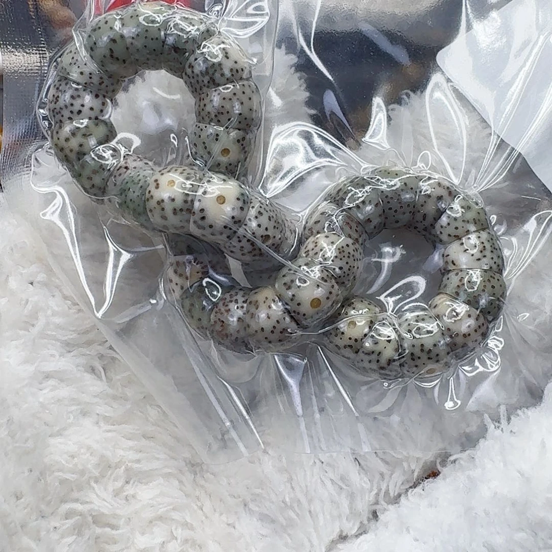 l***t星月菩提手串77卓越星月菩提大肠1.0