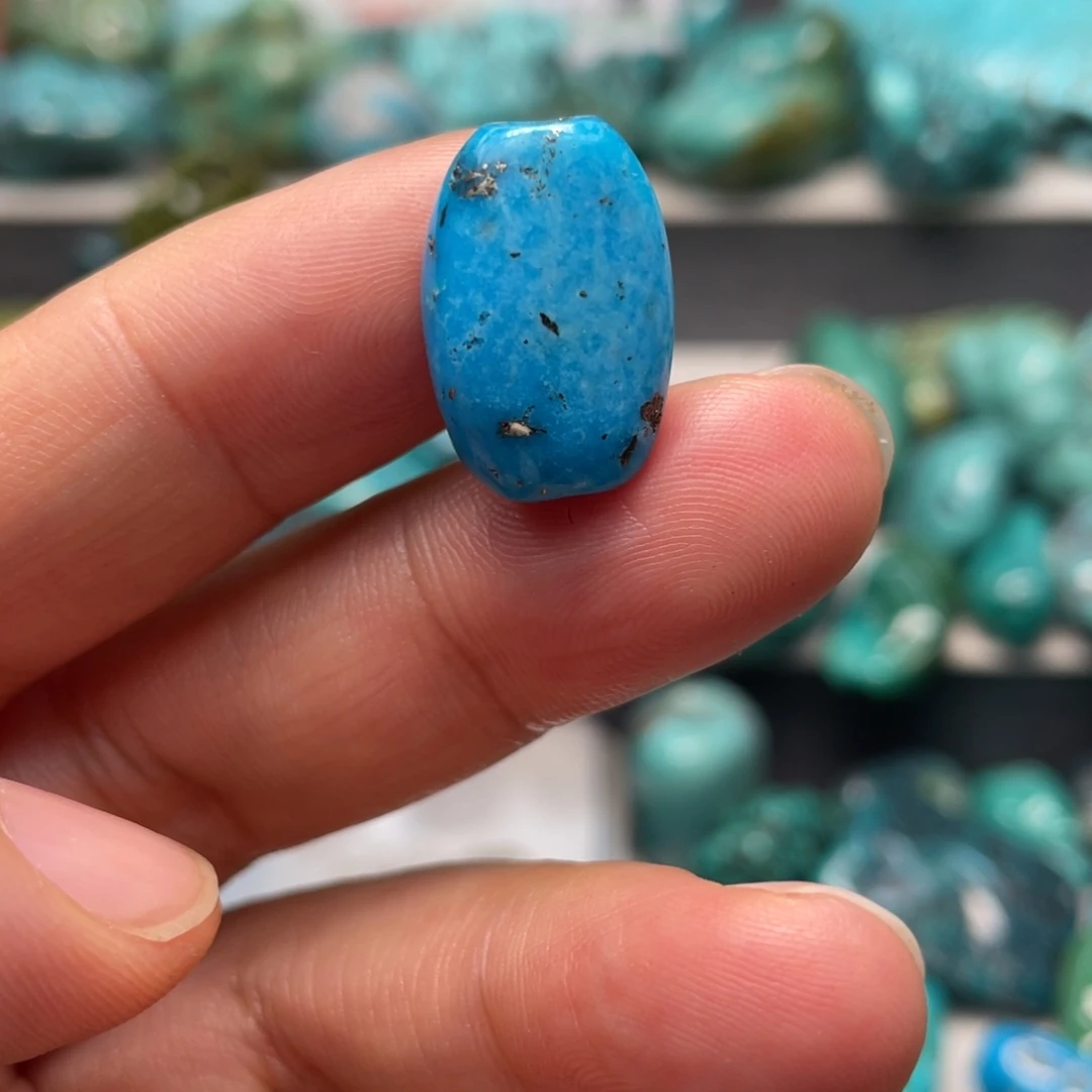 象***狮绿松石未镶嵌颈饰