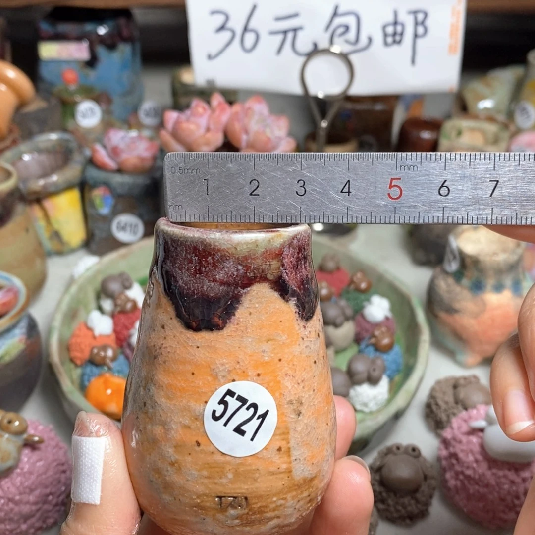 拍5送一个小礼物