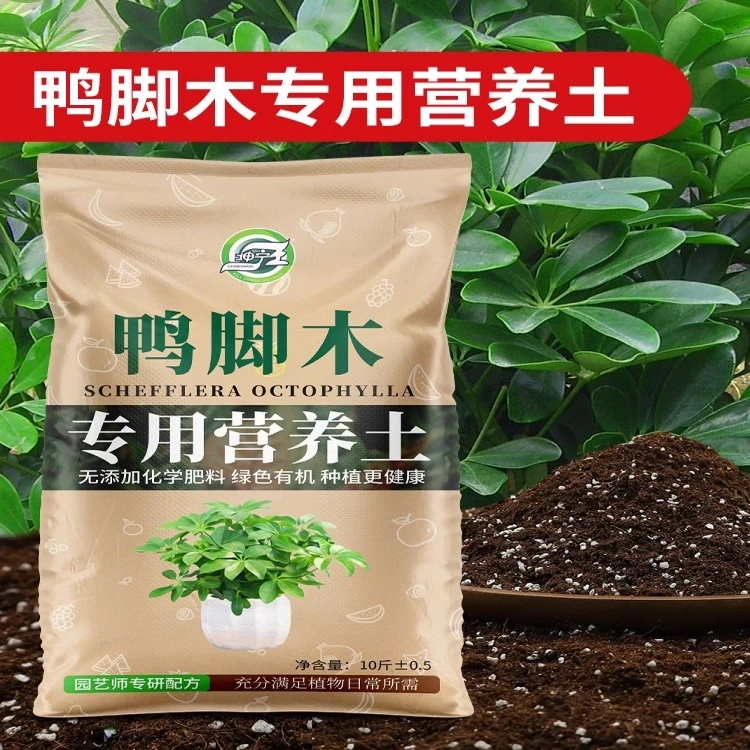 鸭脚木专用营养土盆栽专用土透气肥沃通用养花土绿植种植有机肥料