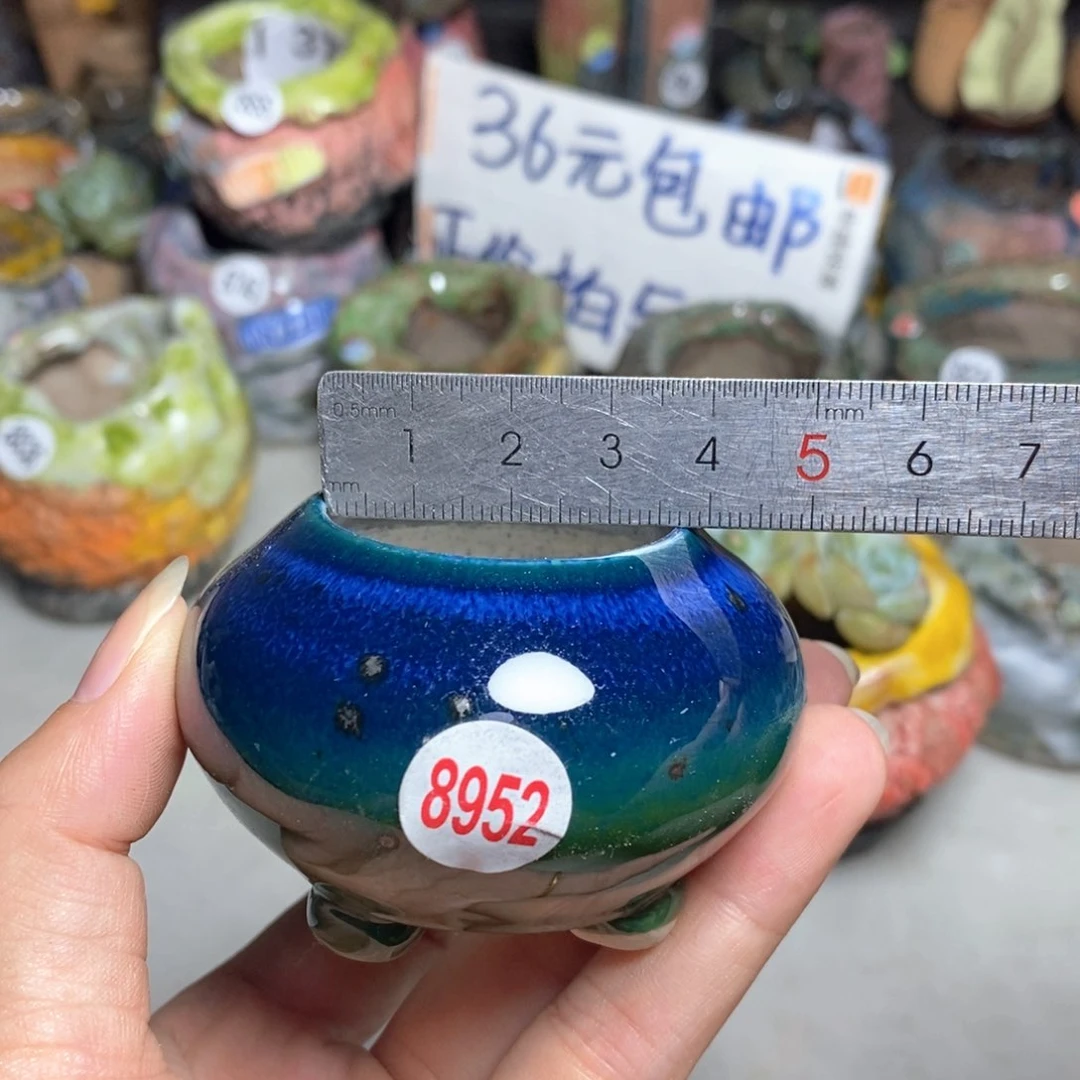 拍4送一个小礼物