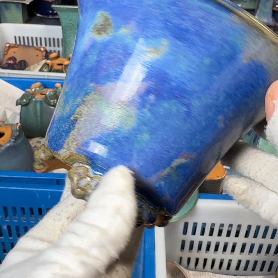 觉象花盆盆景觉象花盆盆景