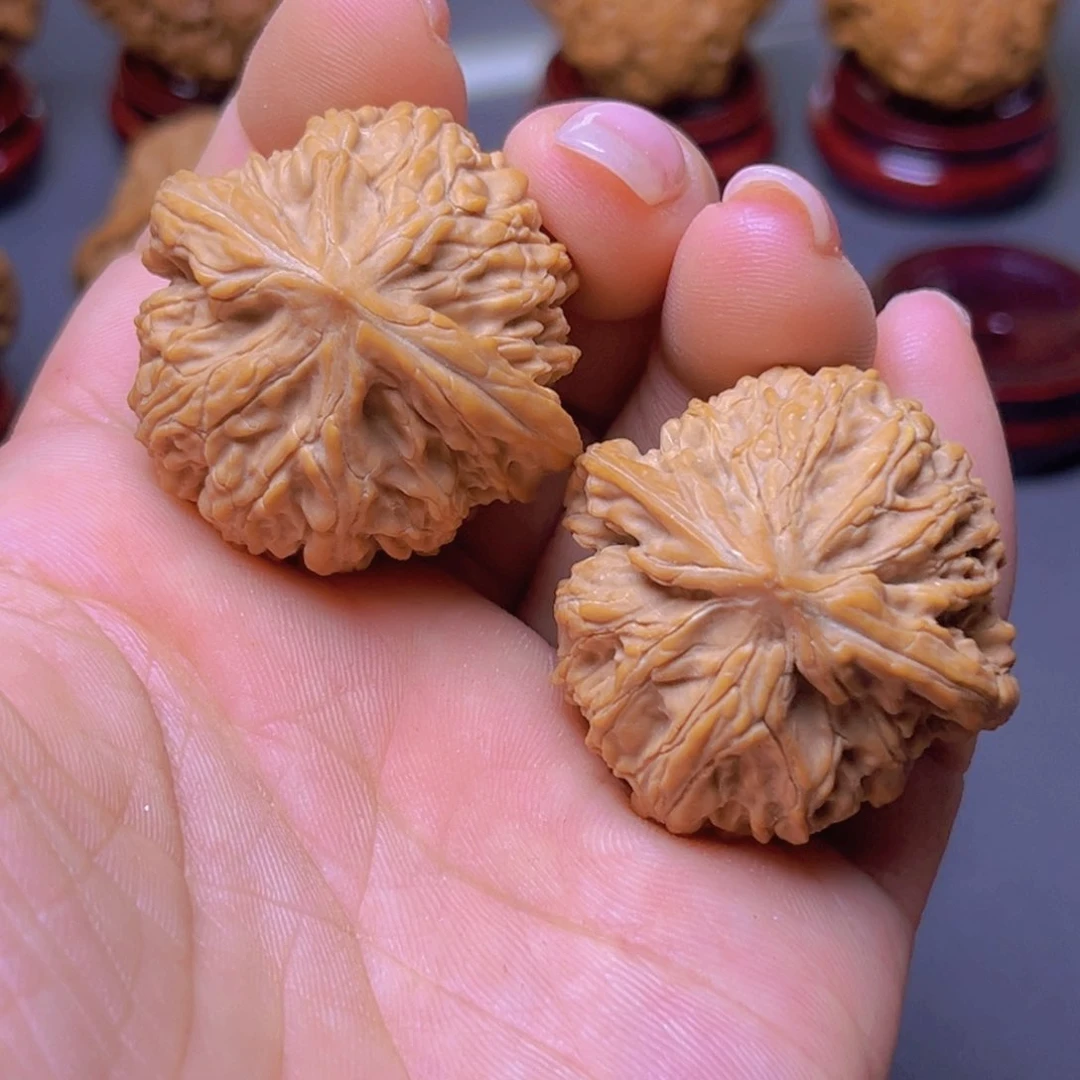 核桃专用链接，小众太行龙珠