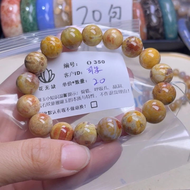耳***）未镶嵌手镯硅化玉