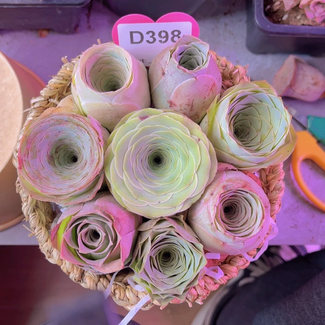 花篮一物一拍398号