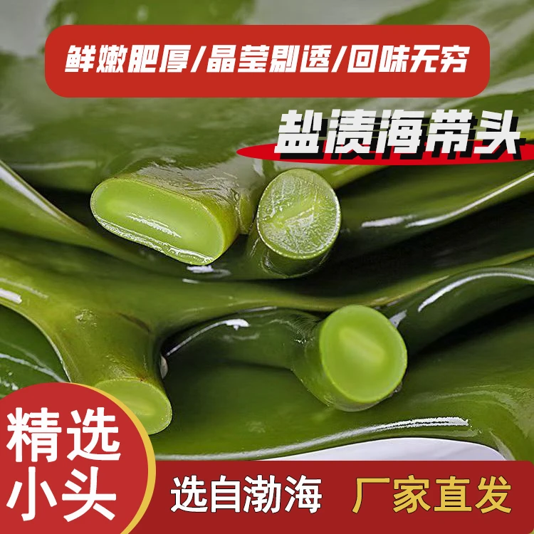 新鲜盐渍海带头整箱批发商用特厚非干货火锅串串食材大连海带根