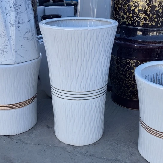 高腰金腰线大号口30高50福利