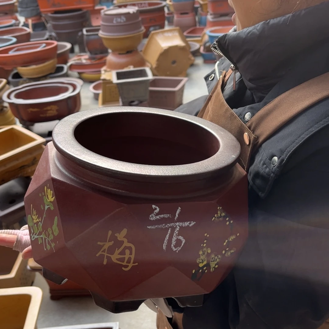 花盆紫砂盆景艺术