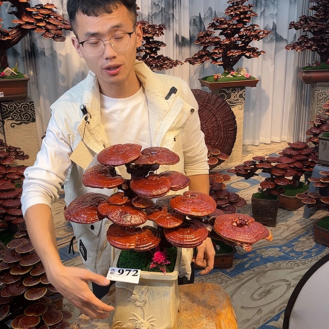 无花朵88888888888