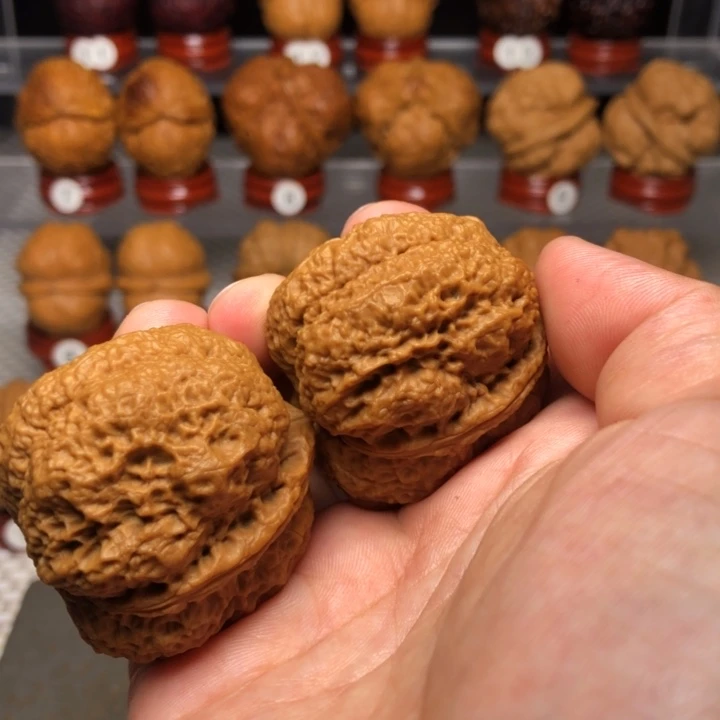 把件文玩核桃40古树蚂蚁开背王