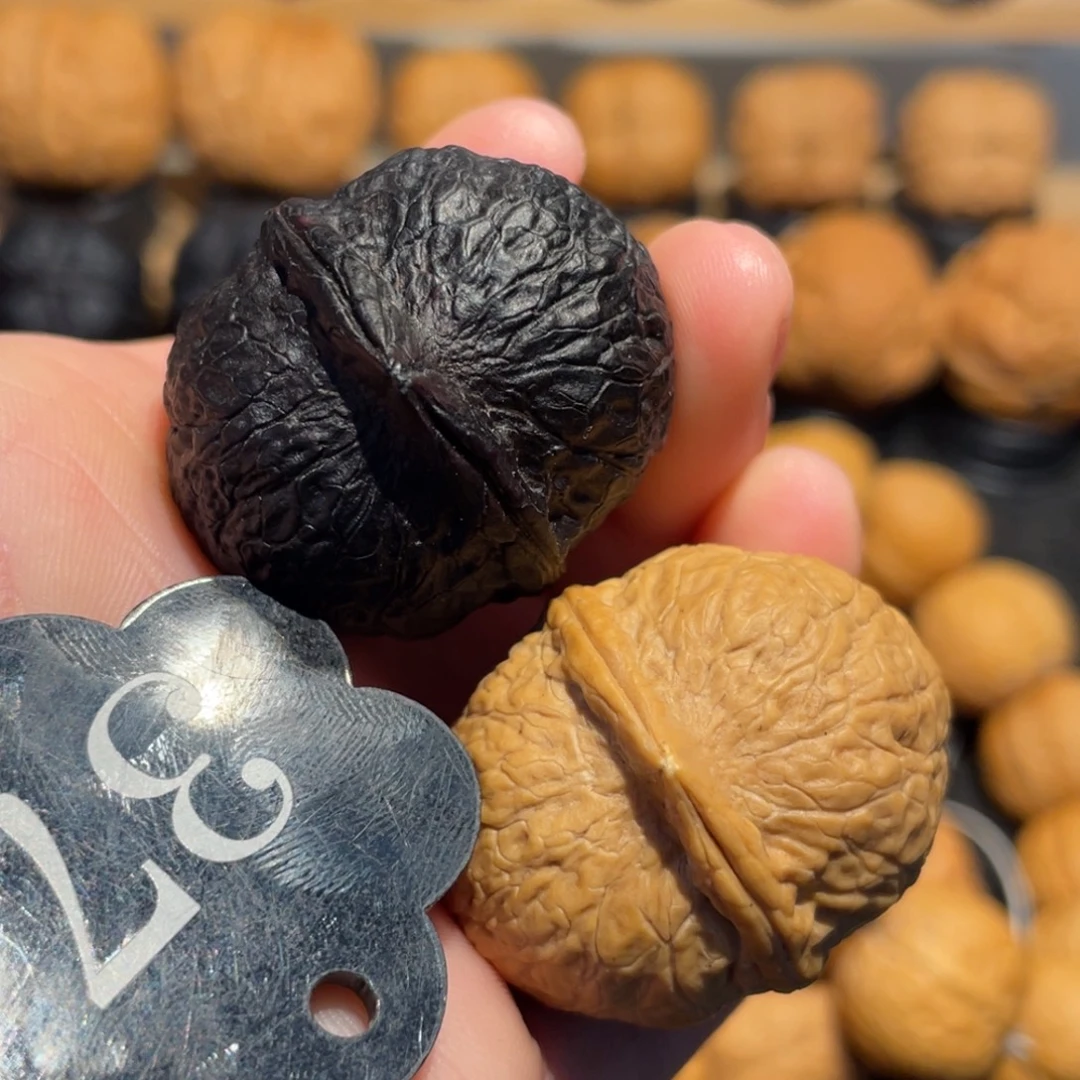 太极阴阳球34（主播自留款）