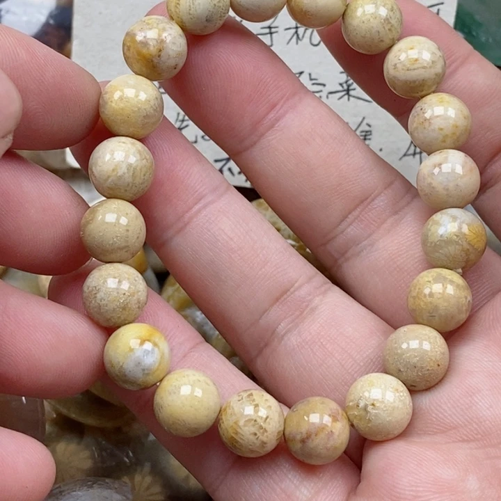 硅化珊瑚（珊瑚玉）未镶嵌颈饰
