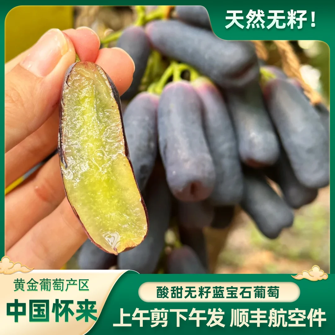 【八斤专享】蓝宝石葡萄现摘现发顺丰航空件