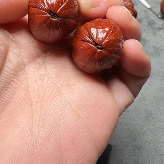 文玩核桃吊坠云枣