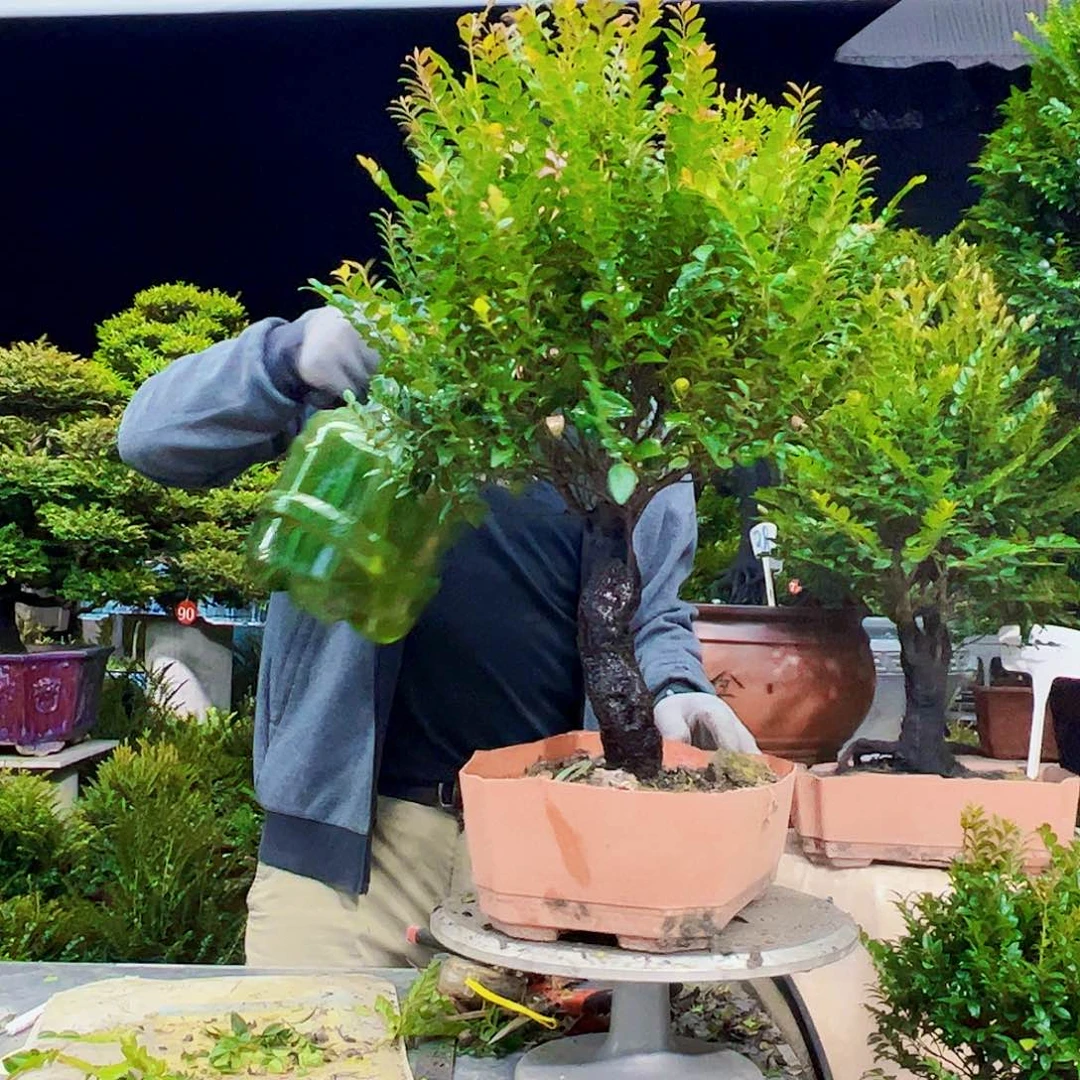 以实际为准日**方12345678