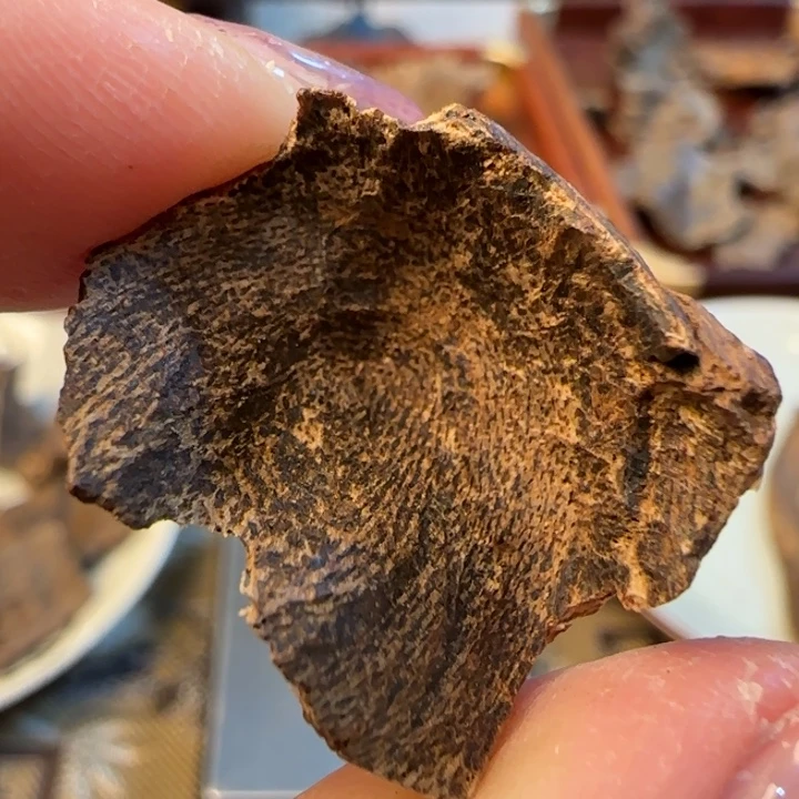 沉香摆件海南野生沉水包头1.46克