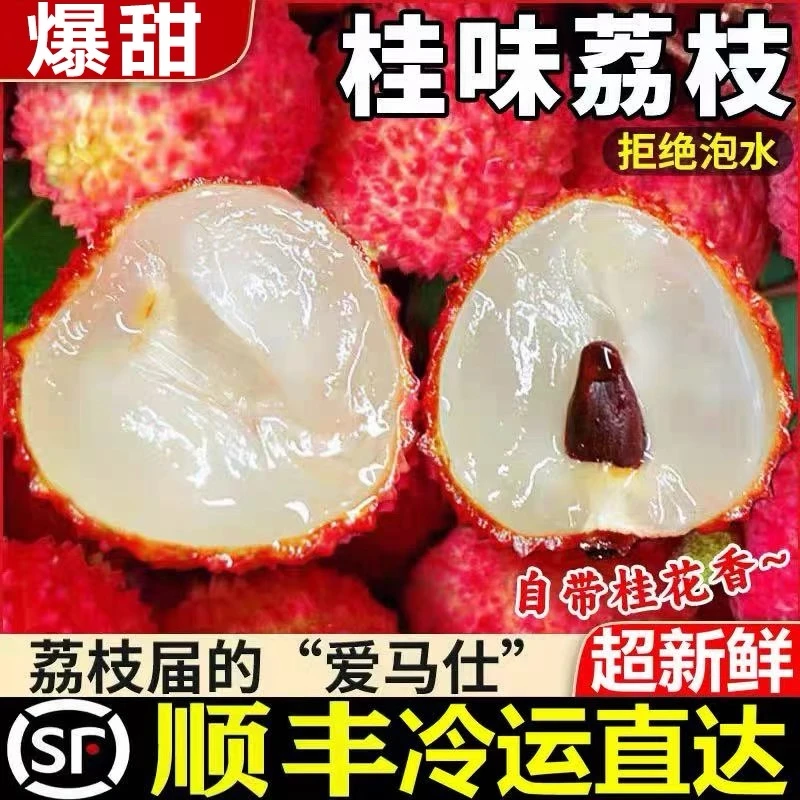 【顺丰冷链】两广桂味新鲜现摘桂味荔枝应当季带箱5斤