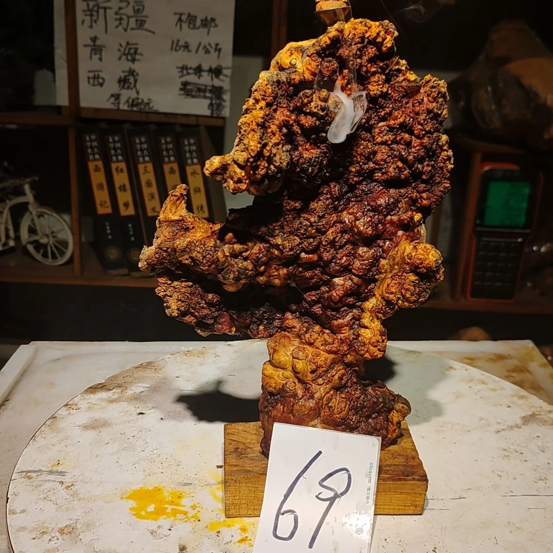 松木橄*树69号北沉香琥珀木天然造型