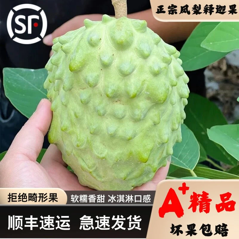 【顺丰发货】牛奶凤梨释迦云南高原源头直发软糯香甜爆甜多汁