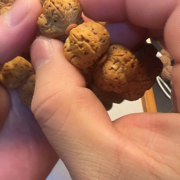 金刚菩提手串龙珠