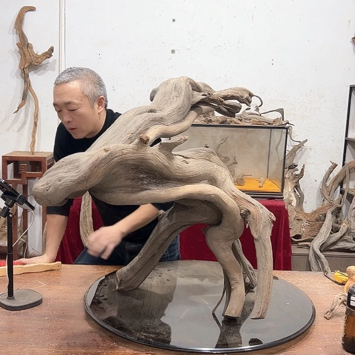 柏木景**金我们的生活也是如此的