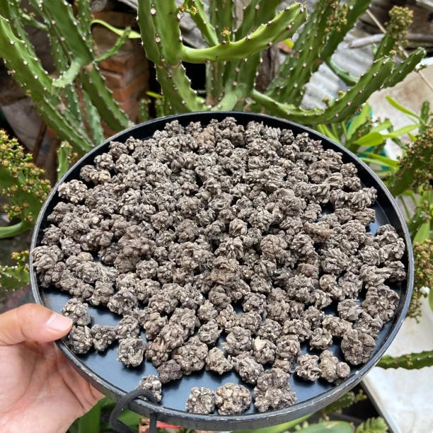 猫-爪-草   云南赶集收山货  搭配 甘草