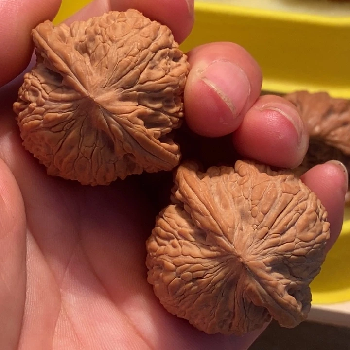 淮****）官方网站发布消息