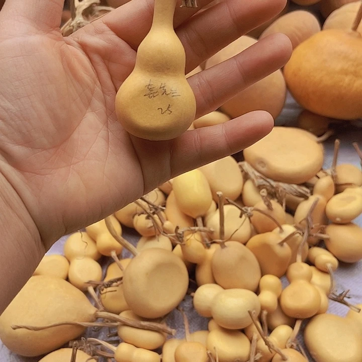 @***生喜先生喜恭喜发财