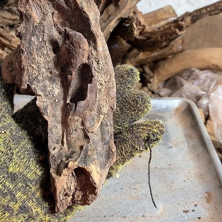 黄花梨/降香黄檀阿***贝