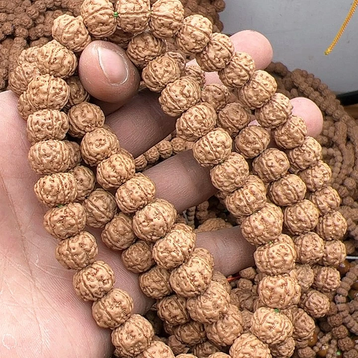 金刚菩提手串花**?树王