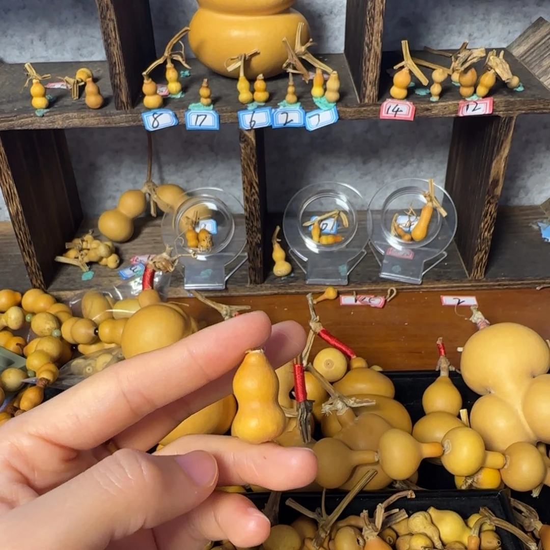 晟***蕾葫芦打孔后不退不换！