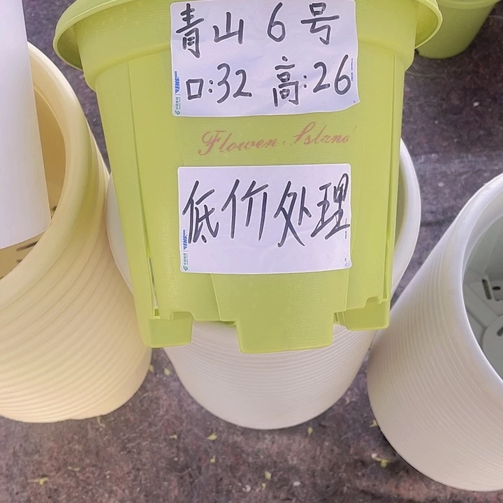 树脂特价福利青山6号果绿色4个