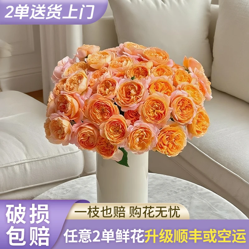 【源头优选】果汁阳台多头玫瑰-任意2单鲜花包邮 发货后不支持退款