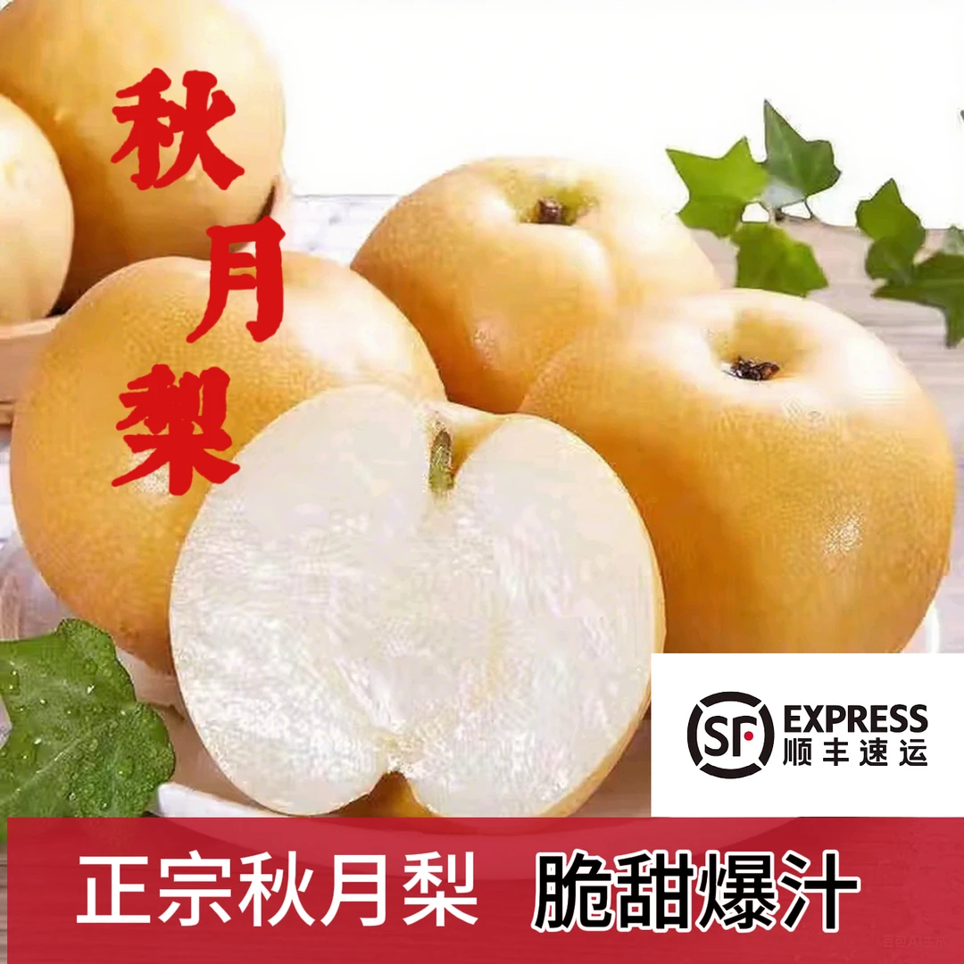 【现摘现发】山东正宗秋月梨现摘现发当季水果脆甜多汁皮薄肉厚