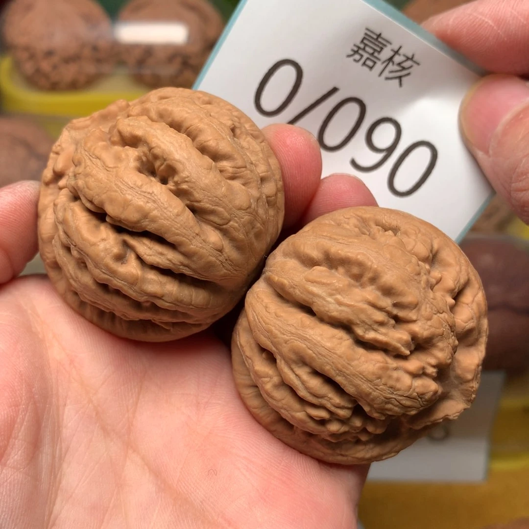 文玩核桃把件毕业霸王龙44