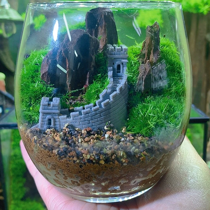 无花朵不到长城非好汉