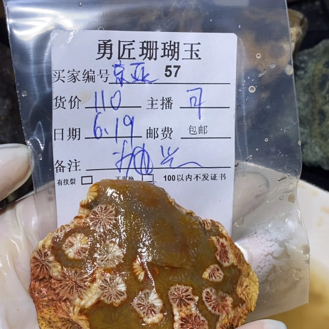 【闪购商品】硅化玉珊瑚玉未镶嵌纯****亚