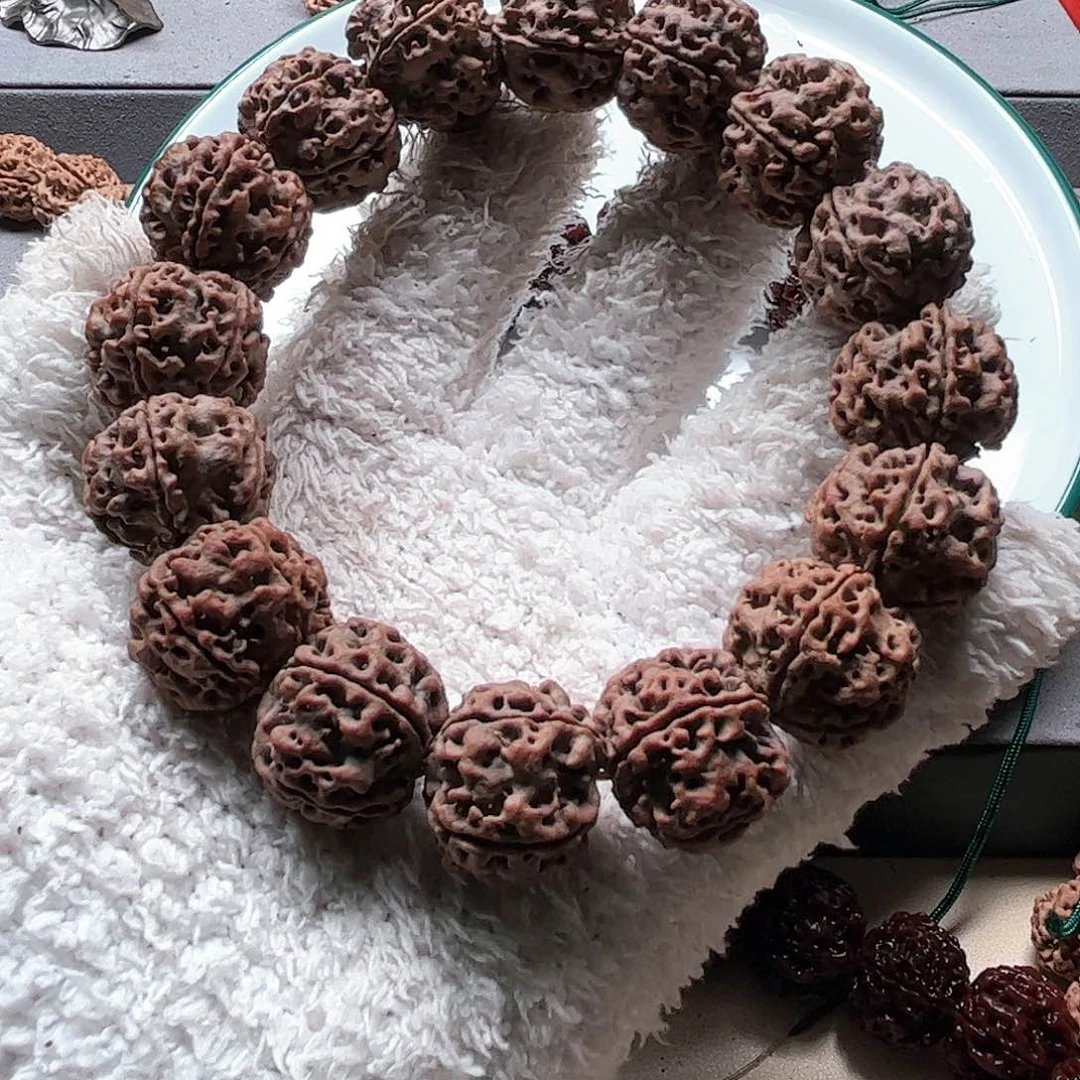 金刚菩提手串23红褐皮老籽