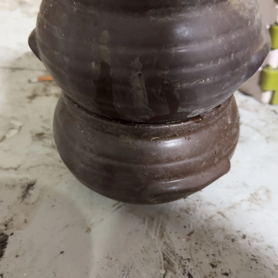 茶盏他也不会和我们去看她