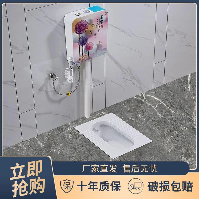 家用厕所免挖坑陶瓷蹲便器水箱整套装卫生间防臭大便器蹲坑式便池