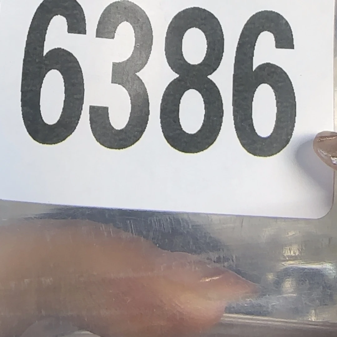 直播间秒拍秒付链接