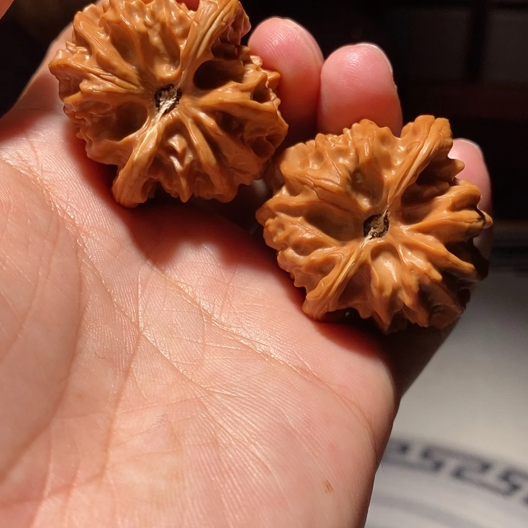 把件文玩核桃002大龙凹底微修39+尺精品对