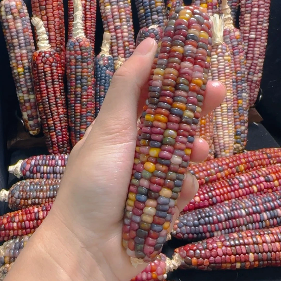 大叶紫檀（黑酸枝木类）闪****⭐